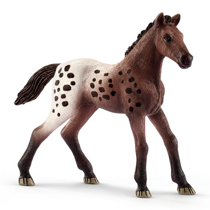 Appaloosa føl