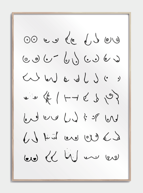 Boobies plakat, nr. 3 S (30x42, A3)