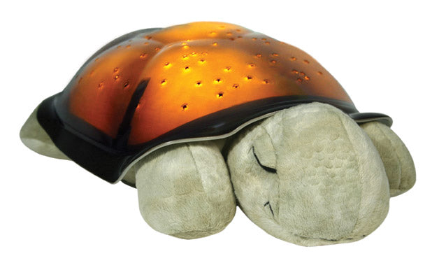 Twillight Turtle, Mokka